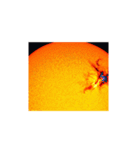 光と力、生命を育む太陽の輝き。夢と希望（個別スタンプ：19）