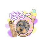 My Sweet 九斗（個別スタンプ：2）
