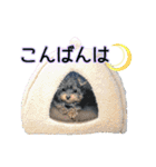 My Sweet 九斗（個別スタンプ：3）