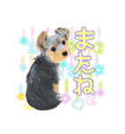 My Sweet 九斗（個別スタンプ：4）