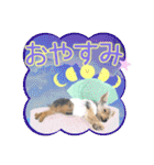 My Sweet 九斗（個別スタンプ：5）