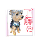 My Sweet 九斗（個別スタンプ：7）