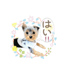 My Sweet 九斗（個別スタンプ：8）