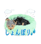 My Sweet 九斗（個別スタンプ：15）