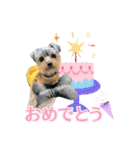 My Sweet 九斗（個別スタンプ：16）