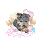 My Sweet 九斗（個別スタンプ：17）