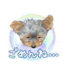 My Sweet 九斗（個別スタンプ：18）