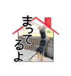 My Sweet 九斗（個別スタンプ：20）