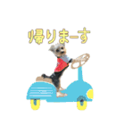 My Sweet 九斗（個別スタンプ：21）