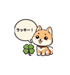 毎日柴犬：気分に合わせて（個別スタンプ：15）