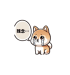 毎日柴犬：気分に合わせて（個別スタンプ：16）