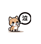 毎日柴犬：気分に合わせて（個別スタンプ：18）