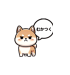 毎日柴犬：気分に合わせて（個別スタンプ：21）