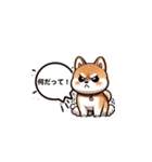 毎日柴犬：気分に合わせて（個別スタンプ：23）