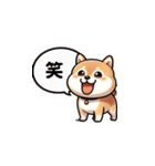 毎日柴犬：気分に合わせて（個別スタンプ：29）