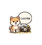 毎日柴犬：気分に合わせて（個別スタンプ：31）