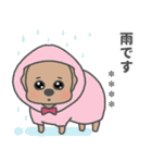 トイプーぷぅちゃんスタンプ（個別スタンプ：13）