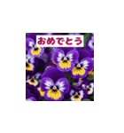 華やかな花の世界（個別スタンプ：9）