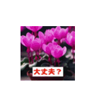 華やかな花の世界（個別スタンプ：17）