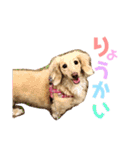 のあです♪（個別スタンプ：3）