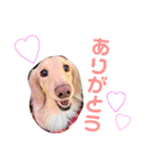 のあです♪（個別スタンプ：4）