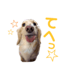 のあです♪（個別スタンプ：6）