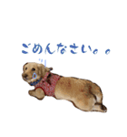 のあです♪（個別スタンプ：9）