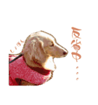 のあです♪（個別スタンプ：10）