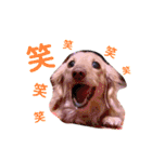 のあです♪（個別スタンプ：14）