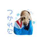 のあです♪（個別スタンプ：16）