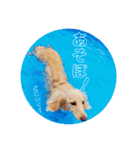 のあです♪（個別スタンプ：21）