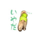 のあです♪（個別スタンプ：24）