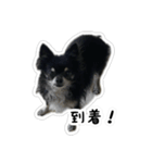 ちい・とらの日常2（個別スタンプ：4）
