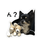 ちい・とらの日常2（個別スタンプ：6）