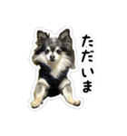 ちい・とらの日常2（個別スタンプ：16）