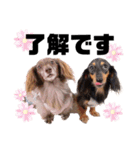 マハロ＆エルア（個別スタンプ：1）
