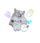 シフォン＆レオン（個別スタンプ：21）