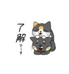 猫、始めました。（個別スタンプ：4）