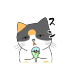 猫、始めました。（個別スタンプ：21）