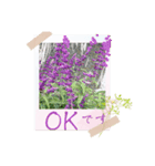 お花の毎日敬語stamp（個別スタンプ：1）