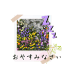 お花の毎日敬語stamp（個別スタンプ：2）