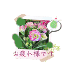 お花の毎日敬語stamp（個別スタンプ：3）