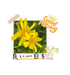 お花の毎日敬語stamp（個別スタンプ：6）