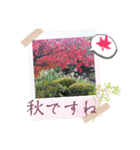 お花の毎日敬語stamp（個別スタンプ：7）