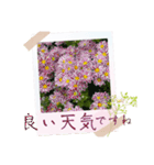 お花の毎日敬語stamp（個別スタンプ：8）