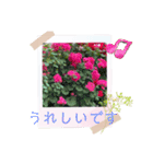 お花の毎日敬語stamp（個別スタンプ：9）