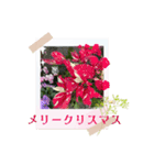 お花の毎日敬語stamp（個別スタンプ：10）
