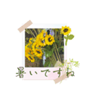 お花の毎日敬語stamp（個別スタンプ：11）