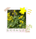 お花の毎日敬語stamp（個別スタンプ：16）