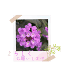 お花の毎日敬語stamp（個別スタンプ：17）